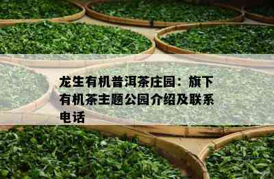 龙生有机普洱茶庄园：旗下有机茶主题公园介绍及联系电话