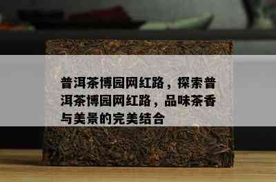 普洱茶博园网红路，探索普洱茶博园网红路，品味茶香与美景的完美结合