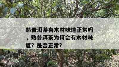 熟普洱茶有木材味道正常吗，熟普洱茶为何会有木材味道？是否正常？