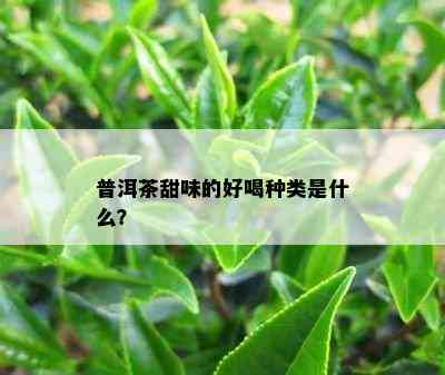 普洱茶甜味的好喝种类是什么？