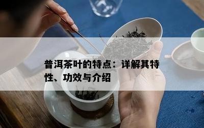 普洱茶叶的特点：详解其特性、功效与介绍