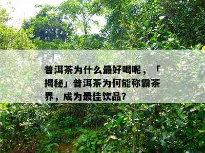 普洱茶为什么更好喝呢，「揭秘」普洱茶为何能称霸茶界，成为更佳饮品？