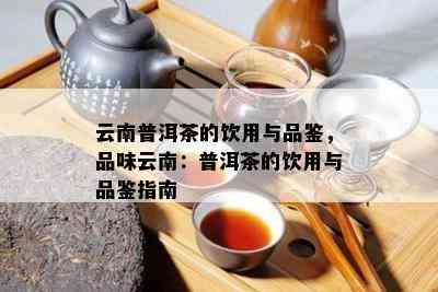 云南普洱茶的饮用与品鉴，品味云南：普洱茶的饮用与品鉴指南