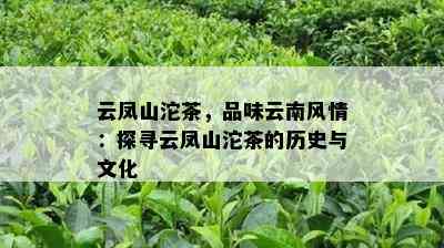 云凤山沱茶，品味云南风情：探寻云凤山沱茶的历史与文化