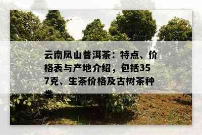 云南凤山普洱茶：特点、价格表与产地介绍，包括357克、生茶价格及古树茶种类