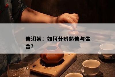 普洱茶：如何分辨熟普与生普？