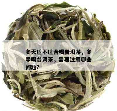 冬天适不适合喝普洱茶，冬季喝普洱茶，需要注意哪些问题？