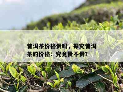 普洱茶价格贵吗，探究普洱茶的价格：究竟贵不贵？