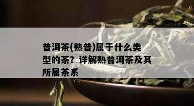 普洱茶(熟普)属于什么类型的茶？详解熟普洱茶及其所属茶系