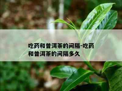 吃和普洱茶的间隔-吃和普洱茶的间隔多久