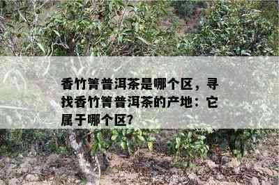 香竹箐普洱茶是哪个区，寻找香竹箐普洱茶的产地：它属于哪个区？