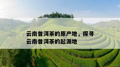 云南普洱茶的原产地，探寻云南普洱茶的起源地