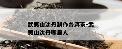 武夷山沈丹制作普洱茶-武夷山沈丹哪里人