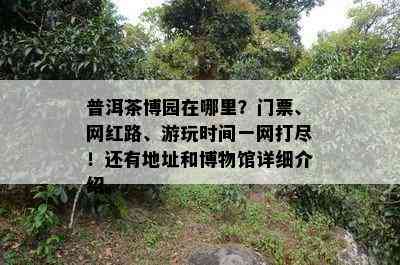 普洱茶博园在哪里？门票、网红路、游玩时间一网打尽！还有地址和博物馆详细介绍。