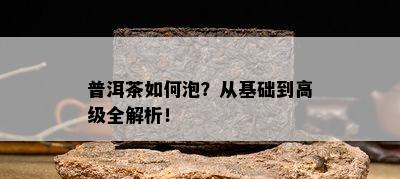 普洱茶如何泡？从基础到高级全解析！