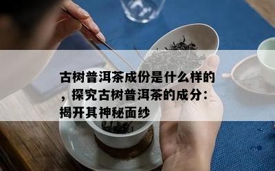 古树普洱茶成份是什么样的，探究古树普洱茶的成分：揭开其神秘面纱