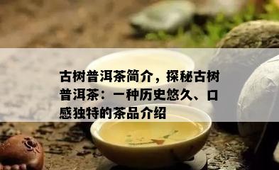 古树普洱茶简介，探秘古树普洱茶：一种历史悠久、口感独特的茶品介绍