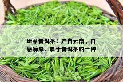 班章普洱茶：产自云南，口感醇厚，属于普洱茶的一种