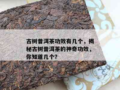 古树普洱茶功效有几个，揭秘古树普洱茶的神奇功效，你知道几个？