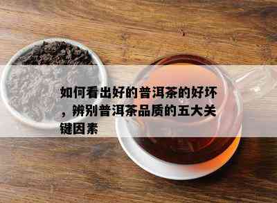 如何看出好的普洱茶的好坏，辨别普洱茶品质的五大关键因素