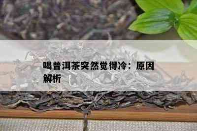 喝普洱茶突然觉得冷：原因解析