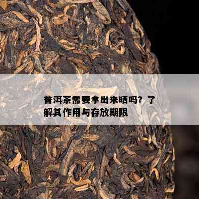 普洱茶需要拿出来晒吗？了解其作用与存放期限