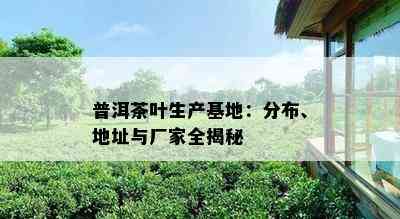 普洱茶叶生产基地：分布、地址与厂家全揭秘