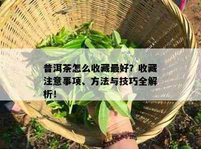 普洱茶怎么收藏更好？收藏注意事项、方法与技巧全解析！