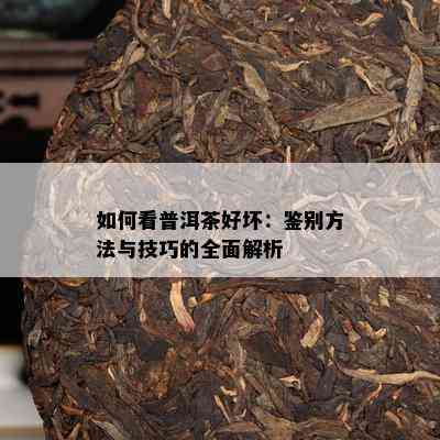 如何看普洱茶好坏：鉴别方法与技巧的全面解析