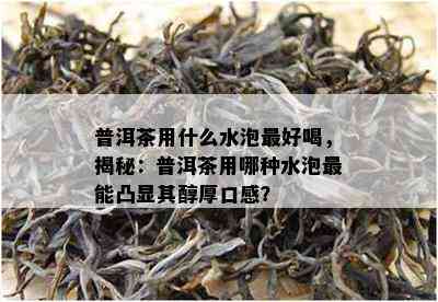 普洱茶用什么水泡更好喝，揭秘：普洱茶用哪种水泡最能凸显其醇厚口感？