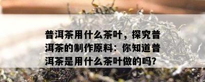 普洱茶用什么茶叶，探究普洱茶的制作原料：你知道普洱茶是用什么茶叶做的吗？