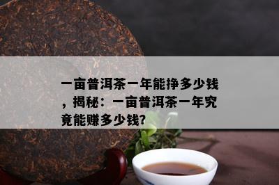 一亩普洱茶一年能挣多少钱，揭秘：一亩普洱茶一年究竟能赚多少钱？