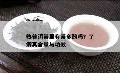 熟普洱茶里有茶多酚吗？了解其含量与功效