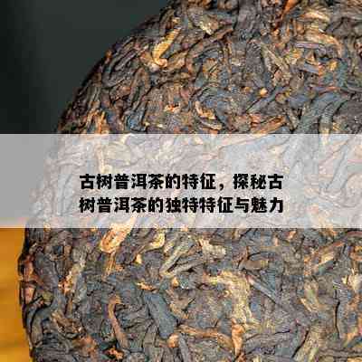 古树普洱茶的特征，探秘古树普洱茶的独特特征与魅力