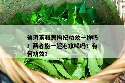 普洱茶和黑枸杞功效一样吗？两者能一起泡水喝吗？有何功效？