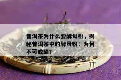 普洱茶为什么要酵母粉，揭秘普洱茶中的酵母粉：为何不可或缺？