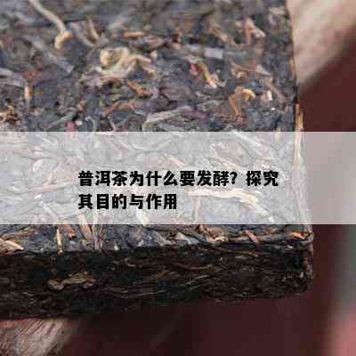 普洱茶为什么要发酵？探究其目的与作用