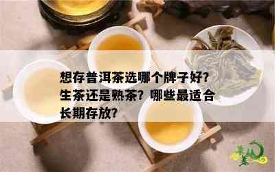 想存普洱茶选哪个牌子好？生茶还是熟茶？哪些最适合长期存放？