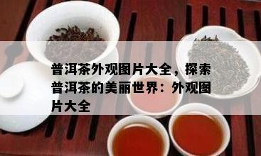 普洱茶外观图片大全，探索普洱茶的美丽世界：外观图片大全