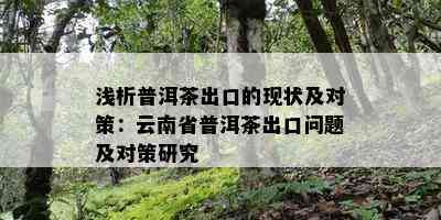 浅析普洱茶出口的现状及对策：云南省普洱茶出口问题及对策研究