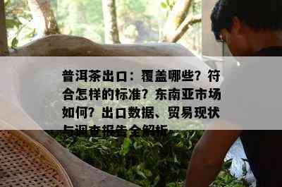 普洱茶出口：覆盖哪些？符合怎样的标准？东南亚市场如何？出口数据、贸易现状与调查报告全解析