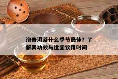 泡普洱茶什么季节更佳？了解其功效与适宜饮用时间