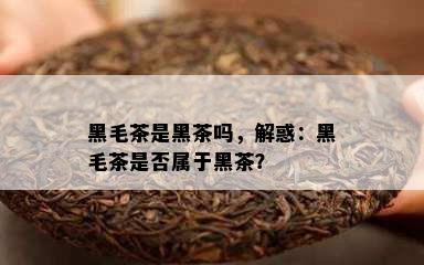 黑毛茶是黑茶吗，解惑：黑毛茶是否属于黑茶？