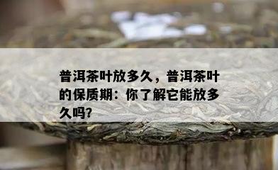 普洱茶叶放多久，普洱茶叶的保质期：你了解它能放多久吗？