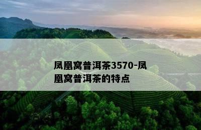 凤凰窝普洱茶3570-凤凰窝普洱茶的特点