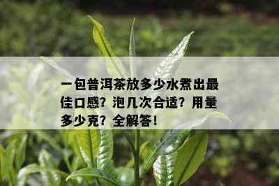 一包普洱茶放多少水煮出更佳口感？泡几次合适？用量多少克？全解答！