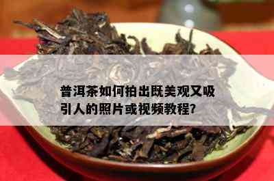 普洱茶如何拍出既美观又吸引人的照片或视频教程？