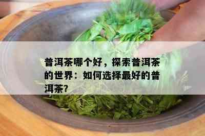 普洱茶哪个好，探索普洱茶的世界：如何选择更好的普洱茶？