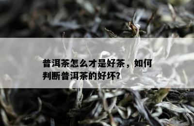 普洱茶怎么才是好茶，如何判断普洱茶的好坏？