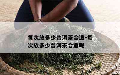 每次放多少普洱茶合适-每次放多少普洱茶合适呢